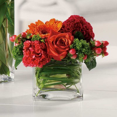Congratulations Flowers & Bouquets - Browse our congratulations Flowers & Bouquets
https://blackistoneflorist.com/san-jose-florist-flower-delivery/occasions/congrats/