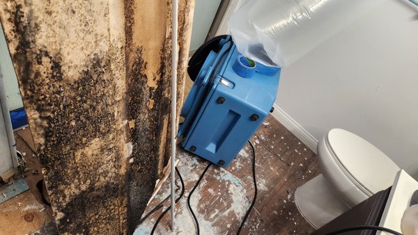 Bathroom Mold Remediation - We were called in during a demo of a bathroom to remediate toxic black mold Bathroom Mold Remediation - We were called in during a demo of a bathroom to remediate toxic black mold