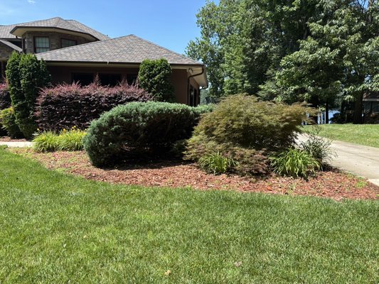 Full service package - The was a lawn/bush clean up job we did by high rock lake. This is a full maintenance service customer. What’s included in the full service. Once a month bush trimming, weed control in the flower beds, mowing, edge, string trim, blowing. If you are looking for an affordable and professional landscape company, give us a call and we will be glad to help you. Hope you have a great day. Full service package - The was a lawn/bush clean up job we did by high rock lake. This is a full maintenance service customer. What’s included in the full service. Once a month bush trimming, weed control in the flower beds, mowing, edge, string trim, blowing. If you are looking for an affordable and professional landscape company, give us a call and we will be glad to help you. Hope you have a great day.