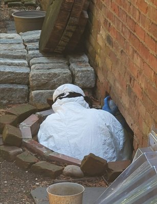 Yellow Jackets wall void treatment in progress. - Our business information comes handy when you need it most. Yellow Jackets wall void treatment in progress. - Our business information comes handy when you need it most.