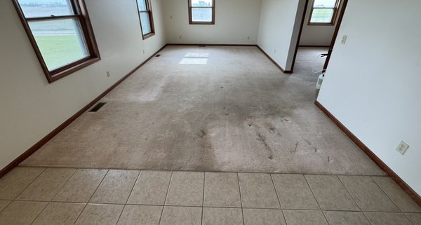 Living Room Carpet Cleaning in Blissfield - This carpet was in need of some love, we took care of it for them. Living Room Carpet Cleaning in Blissfield - This carpet was in need of some love, we took care of it for them.