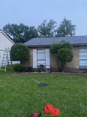 Bushes and light tree trimming in garland area ! - Trimmed bushes and trimmed trees off of the roof. Bushes and light tree trimming in garland area ! - Trimmed bushes and trimmed trees off of the roof.