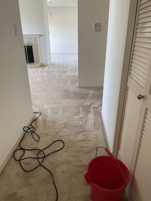 Couch Cleaning - Carpet Cleaning in San Francisco California
We are here for you please visit us to our website and make an appointment with us Couch Cleaning - Carpet Cleaning in San Francisco California
We are here for you please visit us to our website and make an appointment with us