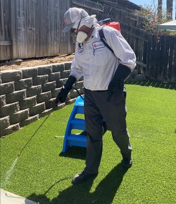 Eradicating mosquitos, spiders and ants takes skill and experience. - Our pest technicians are licensed by the state of California. They take their profession seriously, and Bite Away strives to make every client feel valued. Most of all, we take care of those pests that can make life miserable. Cockroaches, ants, bees, wasps, spiders, widows, Bed Bugs, mosquitos, earwigs, termites, mice and rats, carpet beetles, and more. If you have a pest problem, call Bite Away. Eradicating mosquitos, spiders and ants takes skill and experience. - Our pest technicians are licensed by the state of California. They take their profession seriously, and Bite Away strives to make every client feel valued. Most of all, we take care of those pests that can make life miserable. Cockroaches, ants, bees, wasps, spiders, widows, Bed Bugs, mosquitos, earwigs, termites, mice and rats, carpet beetles, and more. If you have a pest problem, call Bite Away.