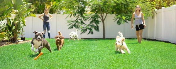 Mosquito, Tick and Fly Control - Protect your family and pets from the diseases and uncomfortable bites of mosquitoes and ticks. We offer a range of solutions, including all natural options. Our recurring service keeps your yard play ready, without personal sprays, candles or gimmick devices. Mosquito, Tick and Fly Control - Protect your family and pets from the diseases and uncomfortable bites of mosquitoes and ticks. We offer a range of solutions, including all natural options. Our recurring service keeps your yard play ready, without personal sprays, candles or gimmick devices.