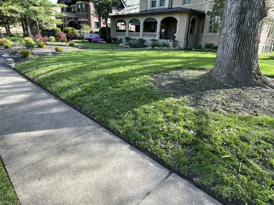 Quick Transformation - Standard mowing and Edging Quick Transformation - Standard mowing and Edging