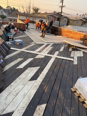 Sheathing Replacement - Replacing the rotted and broken sheathing with new wood.