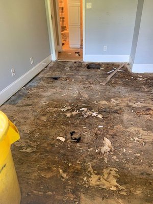 Crawl Space Repair & Complete Renovation of Kitchen & Bathroom - This client came to us needing "the works" done. From crawl space damage repair to a complete kitchen and bathroom remodel, along with new flooring throughout, this house looked brand new once we were done with it! Crawl Space Repair & Complete Renovation of Kitchen & Bathroom - This client came to us needing "the works" done. From crawl space damage repair to a complete kitchen and bathroom remodel, along with new flooring throughout, this house looked brand new once we were done with it!