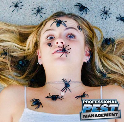 Got Spiders? - Don't battle spiders alone! Call for $100 off your first service with our year round special. Our quarterly service is just $109 (every 3 months) Got Spiders? - Don't battle spiders alone! Call for $100 off your first service with our year round special. Our quarterly service is just $109 (every 3 months)