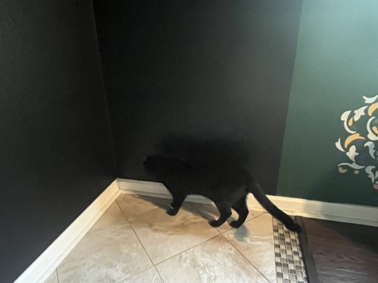 Change the color from the inside of the closet!! - We changed the calor from the closed, we spray paint the black color!! Change the color from the inside of the closet!! - We changed the calor from the closed, we spray paint the black color!!