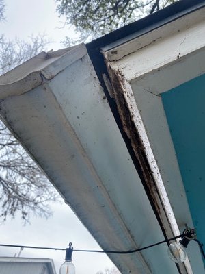 New Gutter & Wood Fascia - This customer's old gutter was falling off due to rotten wood fascia. Gutter Tech came out and provided a free estimate for new gutters and repairs for wood fascia. Once the homeowner approved the estimate we removed the existing gutter and replaced all the areas where the wood fascia was rotten. Gutter Tech installed the new gutter & downspouts and it looks great! New Gutter & Wood Fascia - This customer's old gutter was falling off due to rotten wood fascia. Gutter Tech came out and provided a free estimate for new gutters and repairs for wood fascia. Once the homeowner approved the estimate we removed the existing gutter and replaced all the areas where the wood fascia was rotten. Gutter Tech installed the new gutter & downspouts and it looks great!