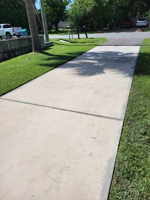 PRESSURE WASHING WITH PRESIDENTIAL KLEANS - A cleaner home starts from the ground up. Bring your home back to life with professional pressure washing from Presidential Kleans.
