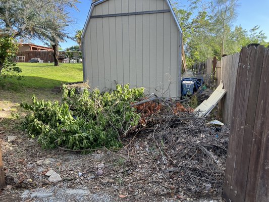 Sacramento home owner had the branches cut and left to be picked up and removed. - Sacramento homeowner had branches cut and left a pile for us to pick up and remove from their property.￼