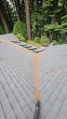 Roof wash, solar panel cleaning, gutter cleaning, concrete cleaning and house washhouse wash in Blue Lake, CA - We blew the roof off, softwashed the roof, washed solar panels, cleaned the gutters, surface cleaned the concrete, washed solarium and washed the house.
The results were spectacular. Roof wash, solar panel cleaning, gutter cleaning, concrete cleaning and house washhouse wash in Blue Lake, CA - We blew the roof off, softwashed the roof, washed solar panels, cleaned the gutters, surface cleaned the concrete, washed solarium and washed the house.
The results were spectacular.