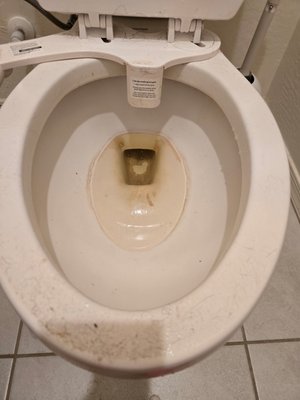 bathroom cleaning - ✨ Before & After: Toilet Deep Clean ✨
At KatZ Kleaning Services, we don’t just tidy — we transform!
💧 Before: This toilet had heavy buildup, hard water stains, and visible grime.
🌟 After: With our detailed deep cleaning process, the bowl is spotless, sanitized, and shining like new.
We specialize in tackling the tough jobs so your home always feels fresh, clean, and comfortable. No mess is too big for our team — we bring the sparkle back every time! bathroom cleaning - ✨ Before & After: Toilet Deep Clean ✨
At KatZ Kleaning Services, we don’t just tidy — we transform!
💧 Before: This toilet had heavy buildup, hard water stains, and visible grime.
🌟 After: With our detailed deep cleaning process, the bowl is spotless, sanitized, and shining like new.
We specialize in tackling the tough jobs so your home always feels fresh, clean, and comfortable. No mess is too big for our team — we bring the sparkle back every time!