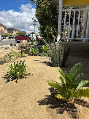 Xeroscape succulent garden - This was a very enjoyable project to work on. We installed succulents and drip irrigation. We used decomposed granite and a large boulder to give the yard that extra flair.