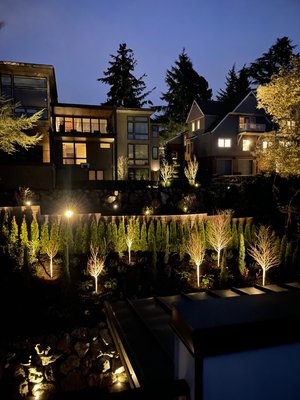 Landscaping - We offer new plants install , lighting design, if you have landscaping design you looking for install? Give us call.