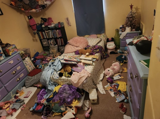 Let Us Clean and Organize - This was a major cleaning and organizational project. We can help you take control of your life again! Call for estimate. Let Us Clean and Organize - This was a major cleaning and organizational project. We can help you take control of your life again! Call for estimate.