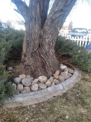Smaller spring clean up. Lawn wasn't ready for a mow yet. - This was a small spring clean up. Pricing starts at 200. Currently looking for weekly lawn care customers.