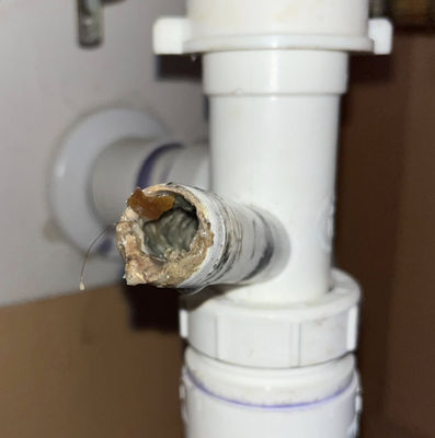 Drain line cleaning - This is what’s under your sink…
Your HVAC system doesn’t just heat and cool your home, it also removes moisture from the air. That moisture has to go somewhere, and it drains out through a small pipe, often connected under your sink.
Over time, that drain line can build up biological growth, dust, or debris and eventually clog. When it does, water can back up into your system and cause leaks or even damage.
That’s why regular drain cleaning is one of the most important parts of HVAC maintenance, especially here in League City, where humidity levels are high.
So when you’re choosing an HVAC company to partner with, make sure drain cleaning is included in your service plan.
Have you had your drain cleared recently?
Grant’s Service Company — Where Service Still Matters
TACLA 132807C
www.GrantsServiceCompany.com