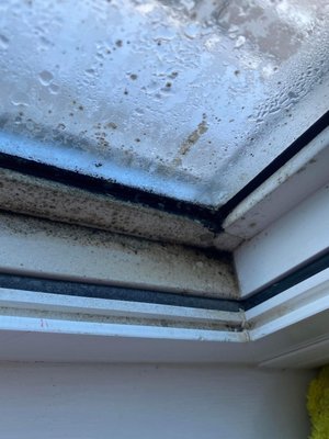 Windows cleaning - Mould cleaning Windows cleaning - Mould cleaning