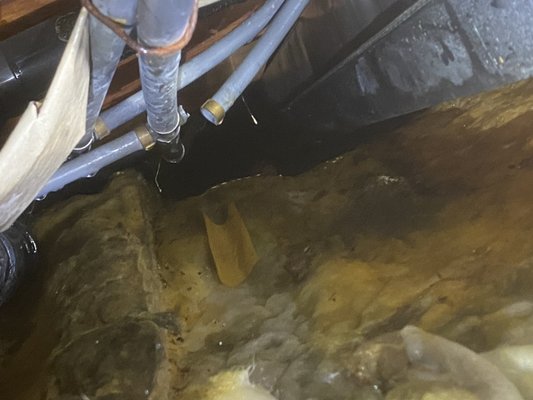 Water line repair - Water line repair Water line repair - Water line repair