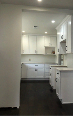 Kitchen Remodel - Kitchen and living space remodel.