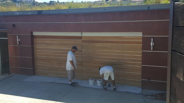 staining - staining project
