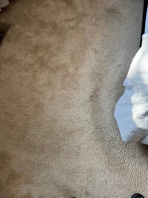 Going up for Sale! - This customer was getting ready to list their home for sale. Instead of spending thousands replacing the carpet they spend hundreds cleaning.
