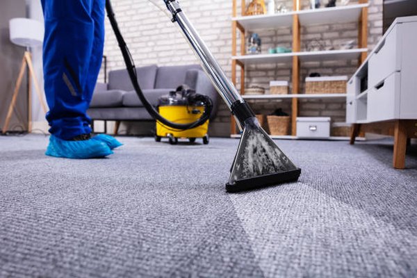 Carpet Cleaning Services - Professional-Grade Equipment. Customized Solutions. Get Your Carpets Cleaned by the Pros Today!