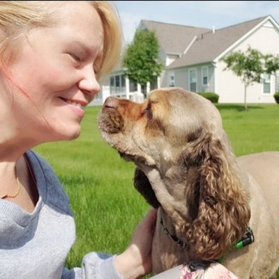 In home 30 min Walks and Drop-In visits - In home on demand 30 min Walks and Drop-In visits.