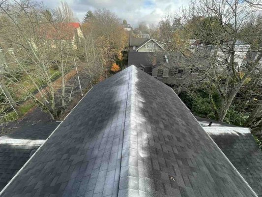 Eco-Friendly Moss Treatment - While many Seattle companies use harmful zinc (or, worse, bleach) to kill roof moss - we take a safer approach: 

1. We exclusively use concentrated Sodium Percarbonate. This superior solution is non-toxic and safer for children, pets, gardens, and the delicate Pacific Northwest environment. When you choose Husser, you're protecting your home and helping keep our beautiful city free of unnecessary pollutants.

This environmentally friendly treatment is helpful for Seattle area homes because it doesn't just kill existing moss - it also helps keep moss from growing back too strong, extending the life of your roof and buying you time between manual removals.  

Designed for the Pacific Northwest climate, our precise application of non-toxic, biodegradable compounds inhibits future moss and algae growth. This professional treatment extends your roof's lifespan, preserving its integrity and health year-round without harming your landscape.

We'd be happy to talk to you about your roof - give us a call!
