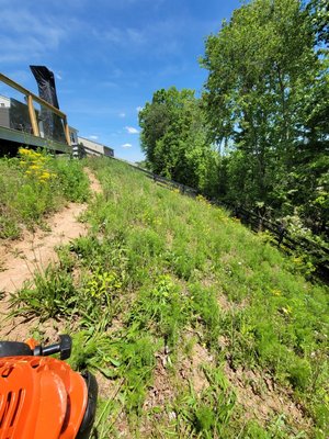 spring clean up - Over grown weeds??? no problem we can clean them for you