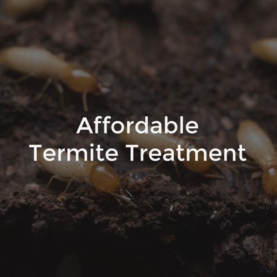Termite Treatment - ATC Pest Control are the Experts at Saving & Protecting your Whole House from Termites
First we create a barrier to keep any new termites out. We dig a small trench around the outside perimeter of your home. We then inject Altriset/Termidor into the ground to the top of the footer or 4’. Front porches, back porches and slabs of concrete are drilled every foot against the structure and Altriset/Termidor is injected beneath them. The holes are skillfully sealed with hydraulic cement to provide a waterproof seal.
We then kill the termites that are already in your home. Now it’s time to treat all of the exposed wood in the basement/crawl space of your home. Treating the wood with an all-natural mineral changes the sugar in the wood to a salt. This will prevent termites from eating the wood. There is no odor and you do not need to leave your home. Termite Treatment - ATC Pest Control are the Experts at Saving & Protecting your Whole House from Termites
First we create a barrier to keep any new termites out. We dig a small trench around the outside perimeter of your home. We then inject Altriset/Termidor into the ground to the top of the footer or 4’. Front porches, back porches and slabs of concrete are drilled every foot against the structure and Altriset/Termidor is injected beneath them. The holes are skillfully sealed with hydraulic cement to provide a waterproof seal.
We then kill the termites that are already in your home. Now it’s time to treat all of the exposed wood in the basement/crawl space of your home. Treating the wood with an all-natural mineral changes the sugar in the wood to a salt. This will prevent termites from eating the wood. There is no odor and you do not need to leave your home.