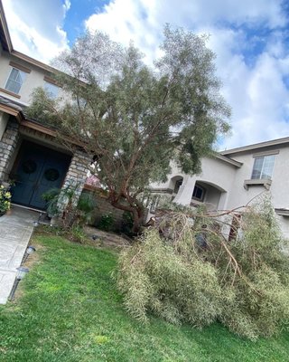 Emergency Services! - Storm or wind damage? Call us today to handle any emergency situations that occur!
