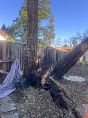 Emergency tree removal - We removed the fallen tree, safely and efficiently. Emergency tree removal - We removed the fallen tree, safely and efficiently.