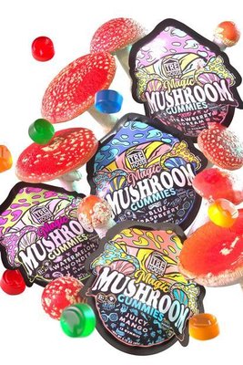 Mushroom Edibles - Brands
- TRE House
- Bang ‘N Mushrooms
- Half Baked Sumo
- Shrumfuzed (Dazed)
- Stoned Mushrooms