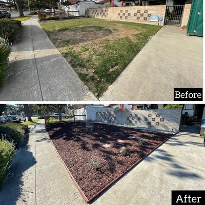 Front Yard Renovation - Redesigned clients front yard to his request. Added mulch, rock and drought tolerant plants to save money on water and at the same time make his front yard look nice!