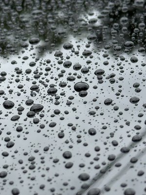 Ceramic / Wax Sealants! - Get your Vehicles Paint Decontaminated and Sealed! It protects not only the Paint, but also your Vehicles Value! Ceramic / Wax Sealants! - Get your Vehicles Paint Decontaminated and Sealed! It protects not only the Paint, but also your Vehicles Value!