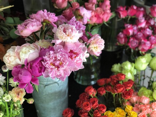 We Have Peonies! - Feb 2023!  Peonies are in stock! We are one of the only florists in Orange County to have Real Dutch Peonies from Holland.  We have farm to Flower Shop relationships so we can offer the Love N' Bloom outstanding quality Peonies for your Peony lover and you!  
Order one of our signature Peony arrangements online for Valentine's Day before they sell out.  
We are here to help. 
www.lovenbloom.com
~ On Beach Blvd IN Huntington Beach