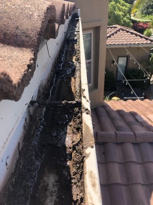 Gutter Cleaning - Clean gutters mitigate water damage to your home!