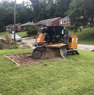 Stump Grinding - Stump Grinding Stump Grinding - Stump Grinding