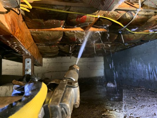Termite Treatment - With the proper use of termite treatment methods and techniques, we can control and remove subterranean, dampwood and drywood termites infesting homes throughout Los Angeles county. Termite Treatment - With the proper use of termite treatment methods and techniques, we can control and remove subterranean, dampwood and drywood termites infesting homes throughout Los Angeles county.