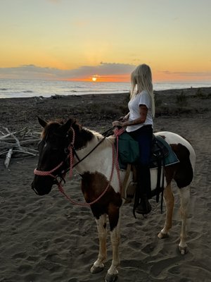 Coastal Horseback riding tours contact 8083475079 - Saddle up for a memorable horse back ride along the coastline on the westside of Kauai where the sunset paints the sky Coastal Horseback riding tours contact 8083475079 - Saddle up for a memorable horse back ride along the coastline on the westside of Kauai where the sunset paints the sky