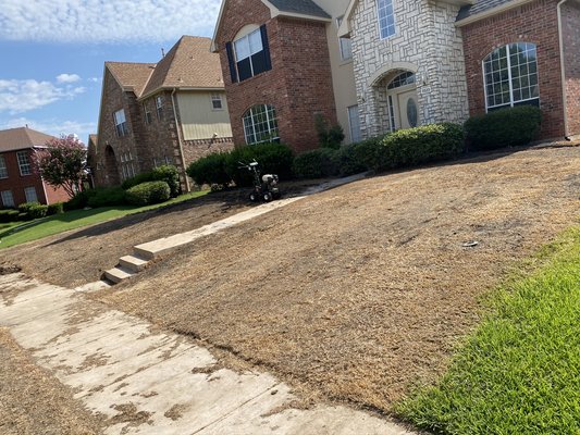 St Augustine Sod installation on completely dead lawn. - This sod installation required us to stump grind a stump, and fix a couple issues with the irrigation coverage to make sure the grass grew healthy and green.