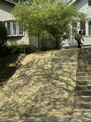 grass seed installation - we installed grass seed in a very sloping area it was difficult but the job is done.