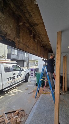 Belmont Shore - Garage Header Beam Replacement - At Trident, we don’t just treat termites — we solve the entire problem. From inspection to repair, our integrated approach protects your home, your investment, and your peace of mind.
If you’re seeing signs of termite damage, don’t wait until it becomes structural — we’re here to help Belmont Shore - Garage Header Beam Replacement - At Trident, we don’t just treat termites — we solve the entire problem. From inspection to repair, our integrated approach protects your home, your investment, and your peace of mind.
If you’re seeing signs of termite damage, don’t wait until it becomes structural — we’re here to help