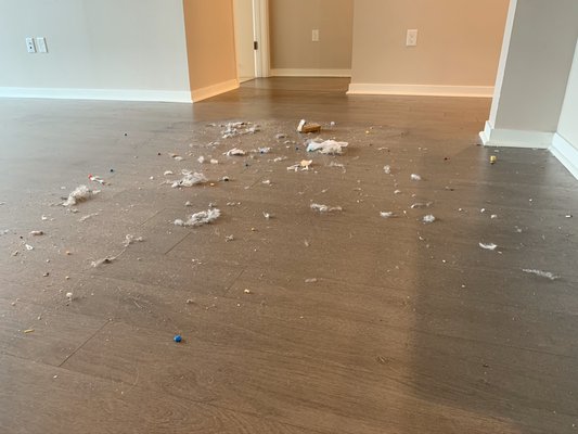 Move out Cleaning - A great job done in Nashville 
Costumer satisfied👍🏼