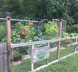 Garden & Harvest - A glimpse from the years gone past would reveal self-sufficient households, keen on preparedness, sustainability, true grit among other values, and the wholesome pride found in the "old ways". Here we are in the 21st century with grocery stores and similar to provide, allowing for the disappearance of those values; we believe it is imperative to reintroduce these values, and are here to help you get the green ball rolling.