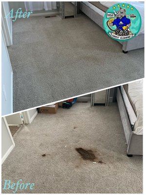 Stain removal - Our highly trained professionals and brand new steam cleaning system can extract the deepest and oldest stains and return your carpets to like new conditions. We not only remove stains but we provide 360 results by deactivating and killing harmful pathogens that lurk there too. For the complete treatment, we can remove odor and add carpet protection which will help your carpet fibers resist future stains. Stain removal - Our highly trained professionals and brand new steam cleaning system can extract the deepest and oldest stains and return your carpets to like new conditions. We not only remove stains but we provide 360 results by deactivating and killing harmful pathogens that lurk there too. For the complete treatment, we can remove odor and add carpet protection which will help your carpet fibers resist future stains.
